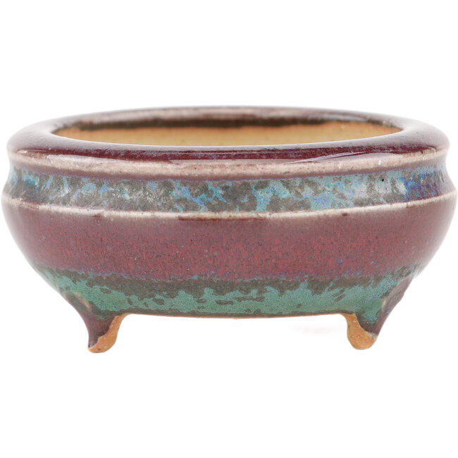 Maceta redonda para bonsái multicolor de Eime Yozan - 60 x 60 x 25 mm