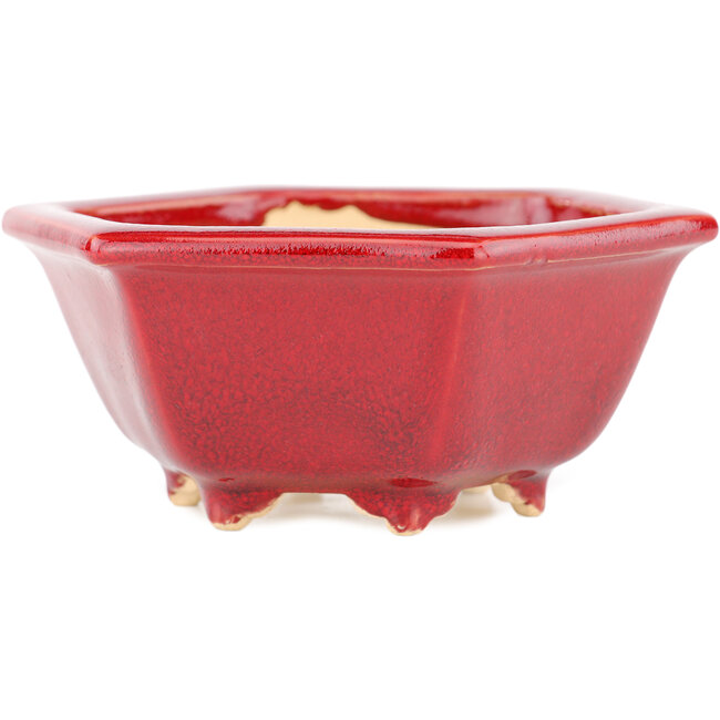 Hexagonal red bonsai pot by Eime Yozan - 105 x 105 x 50 mm