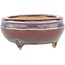 Round multicolor bonsai pot by Eime Yozan - 60 x 60 x 25 mm