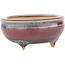 Round multicolor bonsai pot by Eime Yozan - 60 x 60 x 25 mm