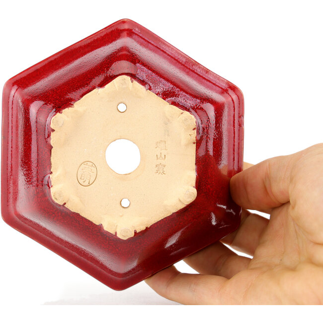 Maceta hexagonal para bonsái roja de Eime Yozan - 105 x 105 x 50 mm