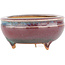 Round multicolor bonsai pot by Eime Yozan - 60 x 60 x 25 mm