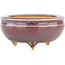 Round multicolor bonsai pot by Eime Yozan - 60 x 60 x 25 mm