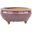 Round multicolor bonsai pot by Eime Yozan - 60 x 60 x 25 mm