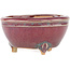 Round multicolor bonsai pot by Eime Yozan - 55 x 55 x 30 mm