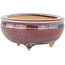 Round multicolor bonsai pot by Eime Yozan - 60 x 60 x 25 mm