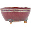 Round multicolor bonsai pot by Eime Yozan - 55 x 55 x 30 mm