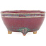 Round multicolor bonsai pot by Eime Yozan - 55 x 55 x 30 mm