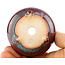 Round multicolor bonsai pot by Eime Yozan - 60 x 60 x 25 mm