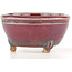 Round multicolor bonsai pot by Eime Yozan - 55 x 55 x 30 mm