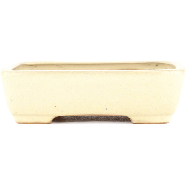 Rectangular beige bonsai pot by Yamafusa - 162 x 135 x 43 mm