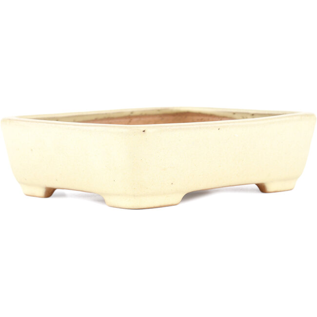 Maceta rectangular para bonsái beige de Yamafusa - 162 x 135 x 43 mm