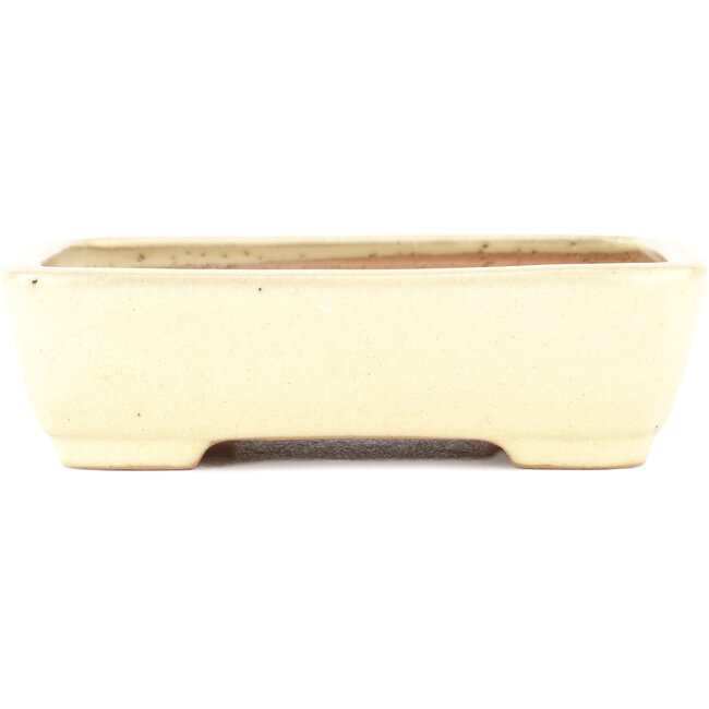 Rectangular beige bonsai pot by Yamafusa - 162 x 135 x 43 mm