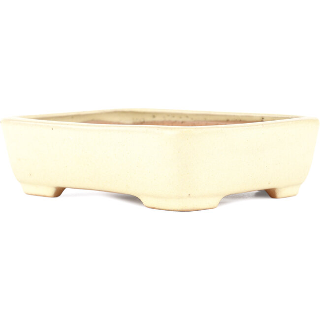 Pot à bonsaï rectangulaire beige par Yamafusa - 162 x 135 x 43 mm
