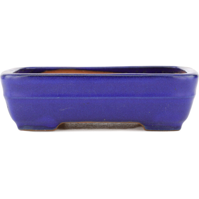 Rectangular blue bonsai pot by Yamafusa - 163 x 135 x 45 mm