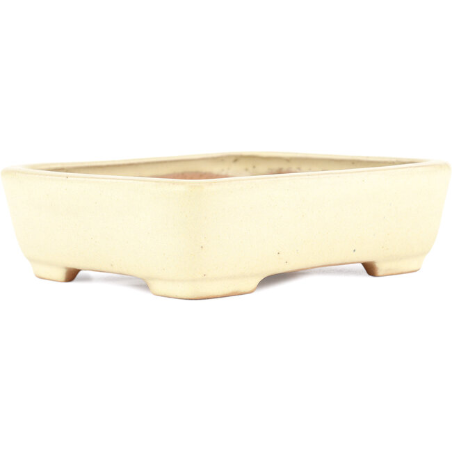 Pot à bonsaï rectangulaire beige par Yamafusa - 162 x 135 x 43 mm