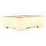 Maceta rectangular para bonsái beige de Yamafusa - 162 x 135 x 43 mm