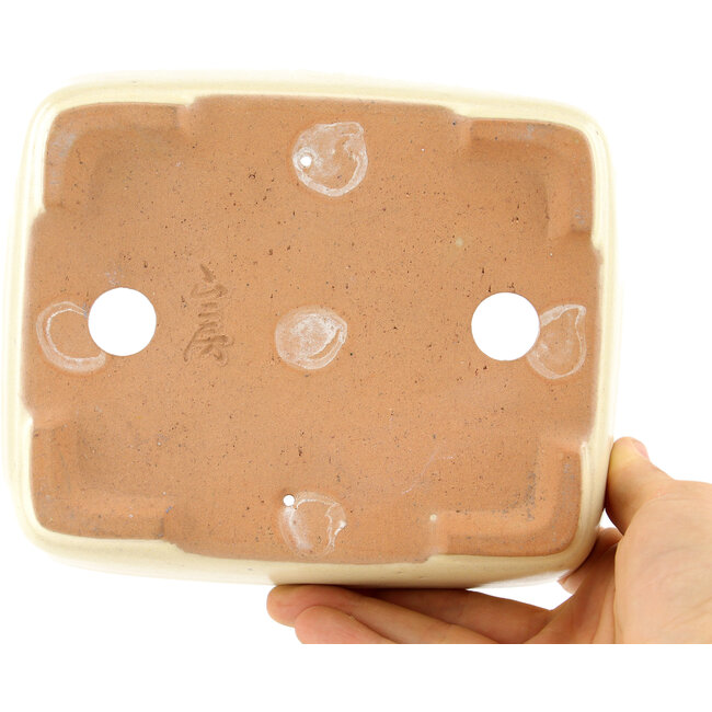 Pot à bonsaï rectangulaire beige par Yamafusa - 162 x 135 x 43 mm