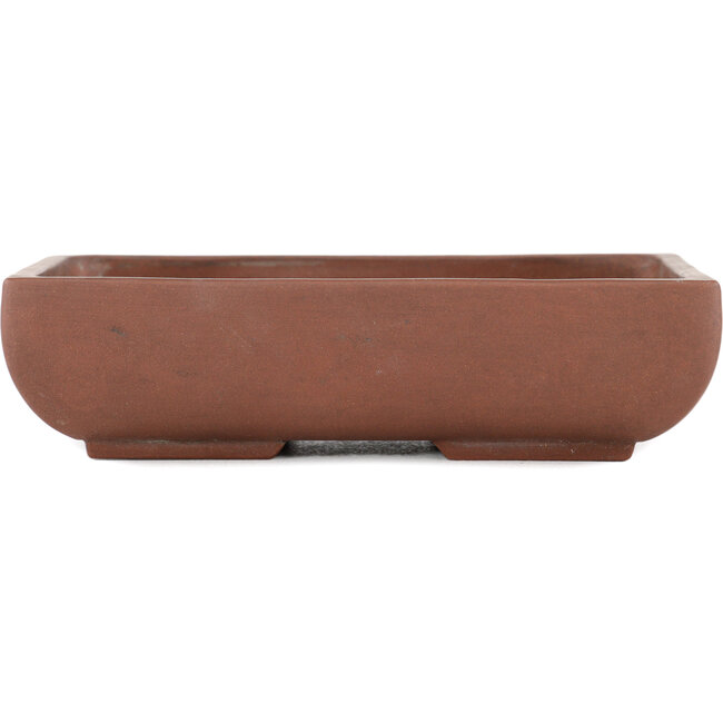 Pot à bonsaï rectangulaire non émaillé - 170 x 115 x 45 mm