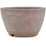 Round unglazed bonsai pot by Bizanyaki - 86 x 86 x 52 mm