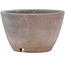 Round unglazed bonsai pot by Bizanyaki - 86 x 86 x 52 mm