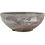 Round unglazed bonsai pot by Bizanyaki - 105 x 105 x 40 mm