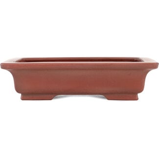 Bigei - Hirata Atsumi 155 mm  unglazed bonsai pot by Bigei, Tokoname, Japan