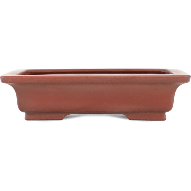 Pot à bonsaï rectangulaire non émaillé par Bigei - 155 x 120 x 35 mm