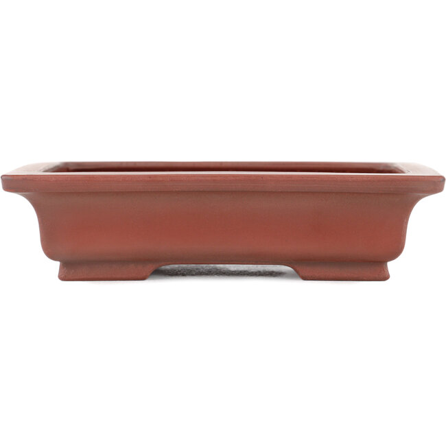 Maceta rectangular para bonsái sin esmaltar de Bigei - 155 x 120 x 35 mm
