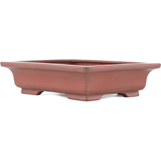 Maceta rectangular para bonsái sin esmaltar de Bigei - 155 x 120 x 35 mm