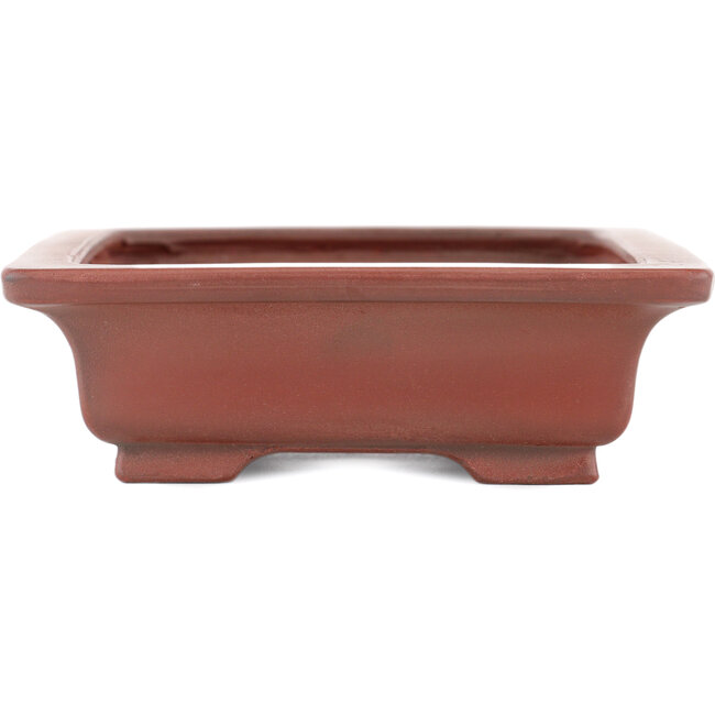 Vaso bonsai rettangolare non smaltato di Bigei - 155 x 120 x 35 mm