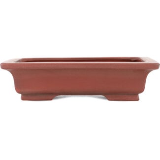 Bigei - Hirata Atsumi 155 mm  unglazed bonsai pot by Bigei, Tokoname, Japan