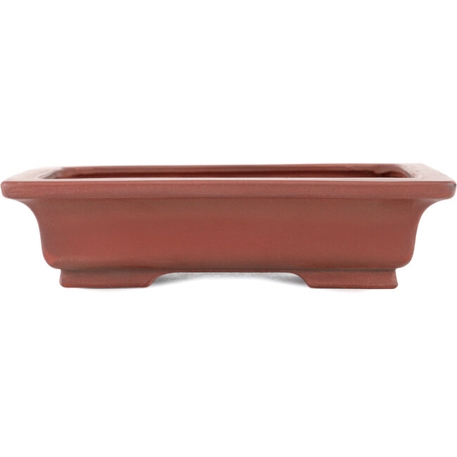 Maceta rectangular para bonsái sin esmaltar de Bigei - 155 x 120 x 35 mm