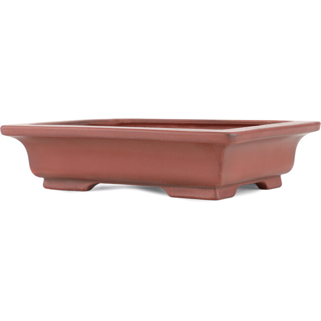Maceta rectangular para bonsái sin esmaltar de Bigei - 155 x 120 x 35 mm