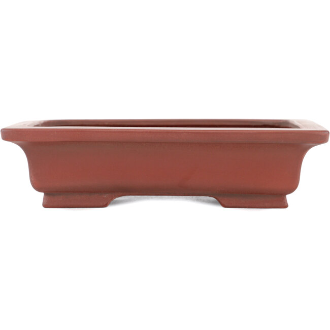 Pot à bonsaï rectangulaire non émaillé par Bigei - 155 x 120 x 35 mm