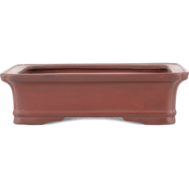 Maceta rectangular para bonsái sin esmaltar de Bigei - 145 x 110 x 37 mm