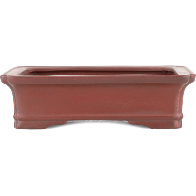Maceta rectangular para bonsái sin esmaltar de Bigei - 145 x 110 x 37 mm