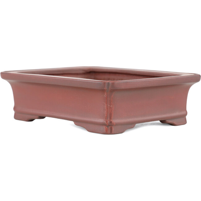 Maceta rectangular para bonsái sin esmaltar de Bigei - 145 x 110 x 37 mm