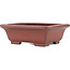 Rectangular unglazed bonsai pot by Bigei - 160 x 128 x 50 mm