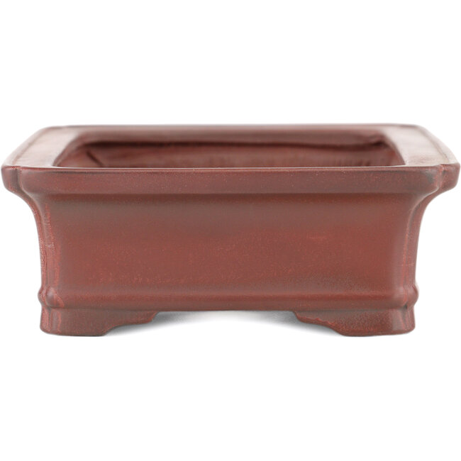 Maceta rectangular para bonsái sin esmaltar de Bigei - 145 x 110 x 37 mm