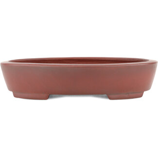 Bigei - Hirata Atsumi 160 mm  unglazed bonsai pot by Bigei, Tokoname, Japan