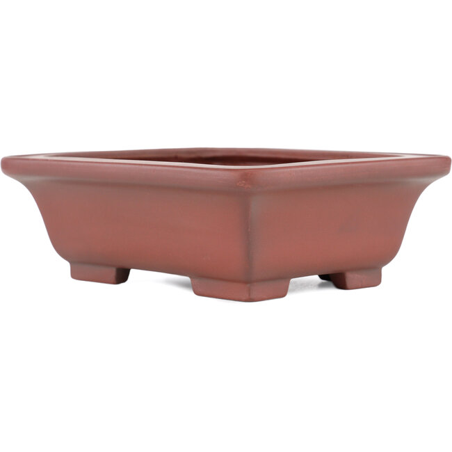 Rectangular unglazed bonsai pot by Bigei - 160 x 128 x 50 mm