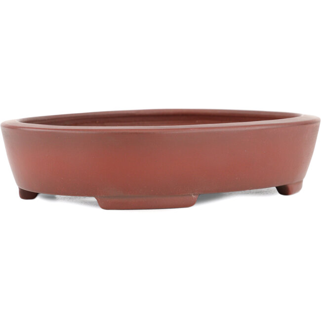 Ovaler, unglasierter Bonsaitopf von Bigei – 160 x 125 x 32 mm