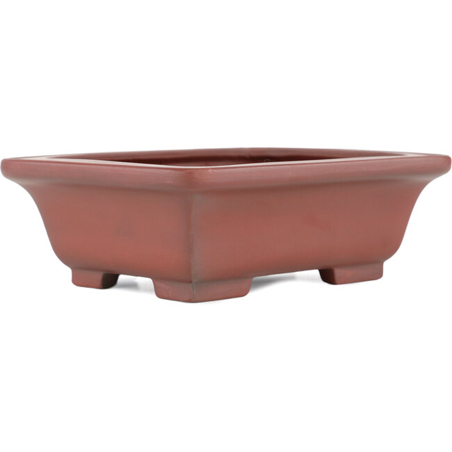 Maceta rectangular para bonsái sin esmaltar de Bigei - 160 x 128 x 50 mm