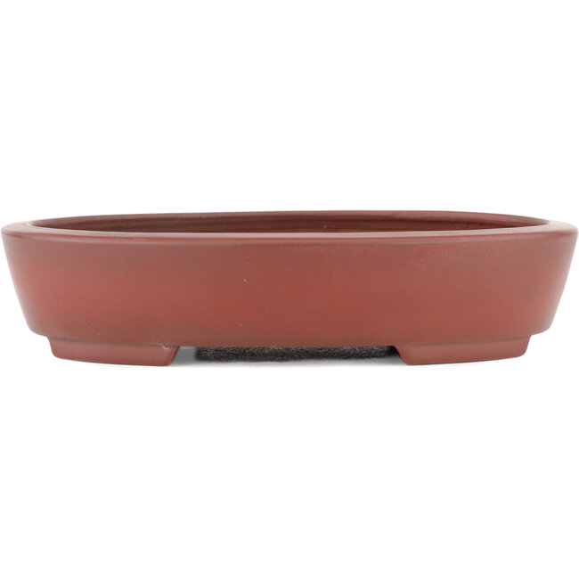 Maceta para bonsái ovalada sin esmaltar de Bigei - 160 x 125 x 32 mm