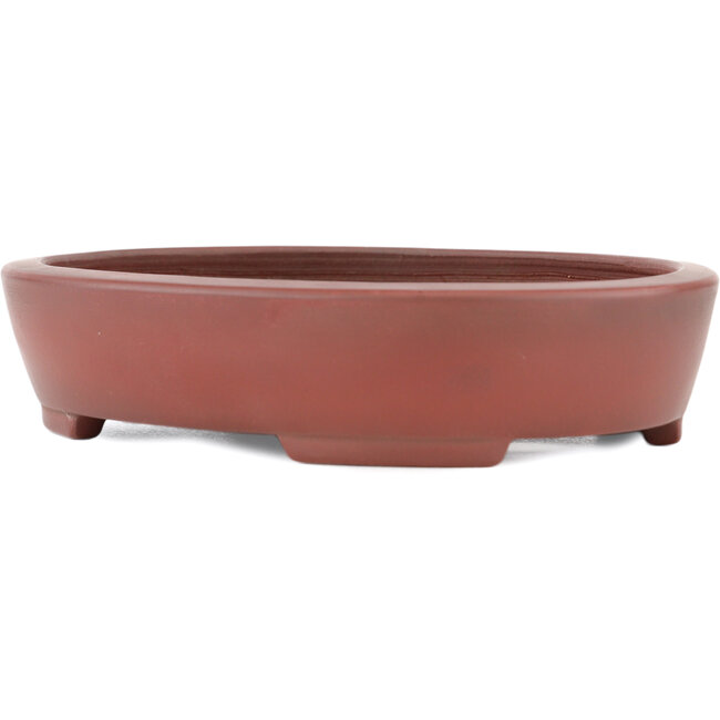 Vaso bonsai ovale non smaltato di Bigei - 160 x 125 x 32 mm