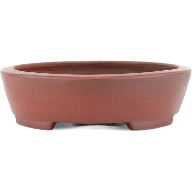 Maceta para bonsái ovalada sin esmaltar de Bigei - 160 x 125 x 32 mm