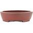 Pot à bonsaï ovale non émaillé par Bigei - 160 x 125 x 32 mm