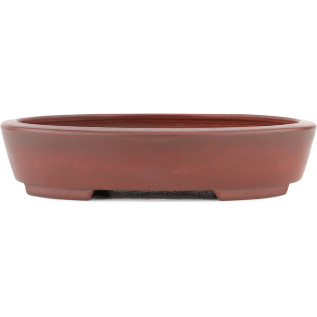 Oval unglazed bonsai pot by Bigei - 160 x 125 x 32 mm