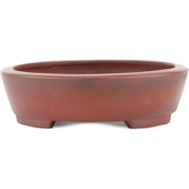 Ovale ongeglazuurde bonsaipot van Bigei - 160 x 125 x 32 mm